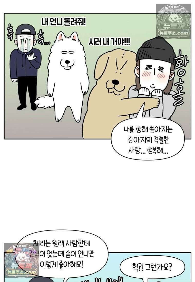 극한견주 시즌2 51화 개가 없으면 서로를 알아보지 못하는 사람들 6