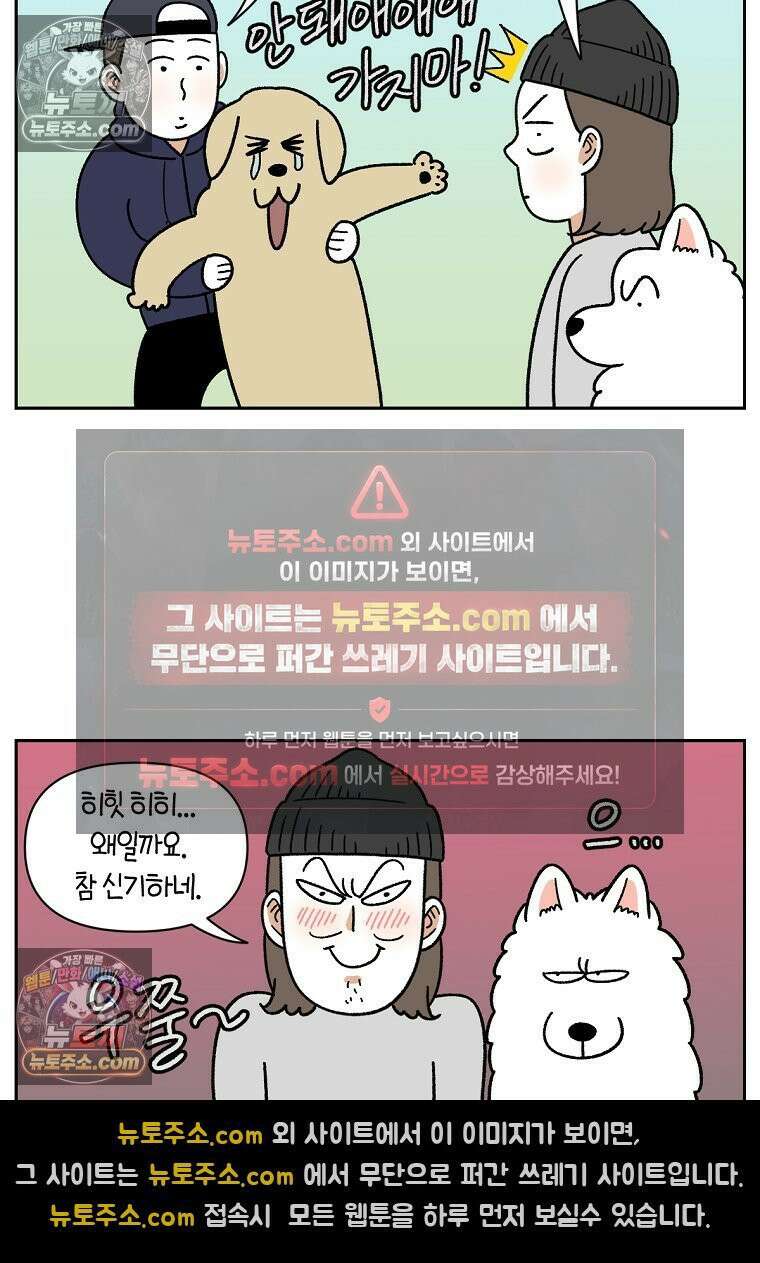 극한견주 시즌2 51화 개가 없으면 서로를 알아보지 못하는 사람들 7