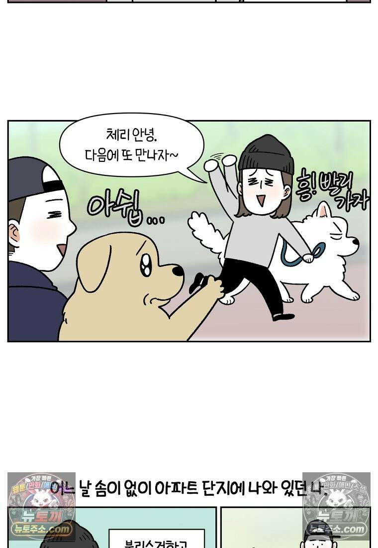 극한견주 시즌2 51화 개가 없으면 서로를 알아보지 못하는 사람들 8