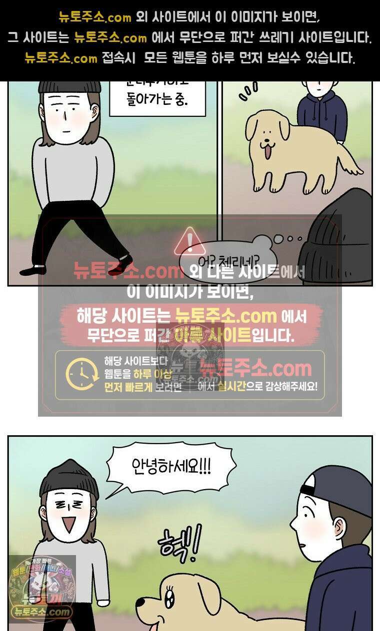 극한견주 시즌2 51화 개가 없으면 서로를 알아보지 못하는 사람들 9