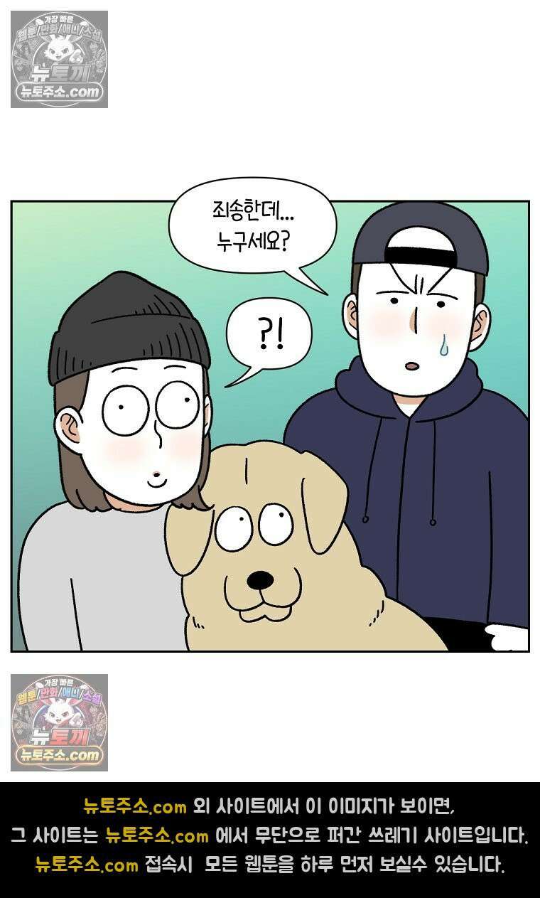 극한견주 시즌2 51화 개가 없으면 서로를 알아보지 못하는 사람들 11