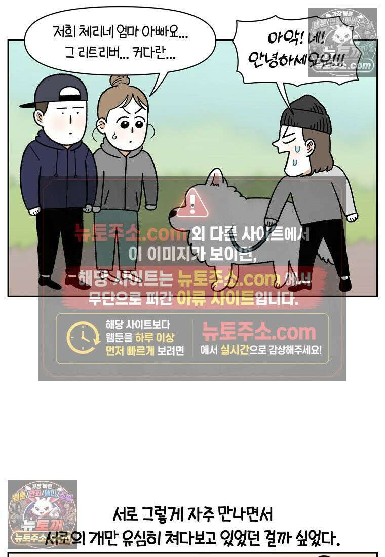 극한견주 시즌2 51화 개가 없으면 서로를 알아보지 못하는 사람들 15
