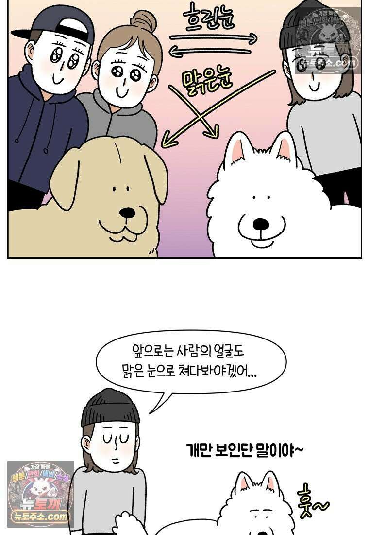 극한견주 시즌2 51화 개가 없으면 서로를 알아보지 못하는 사람들 16