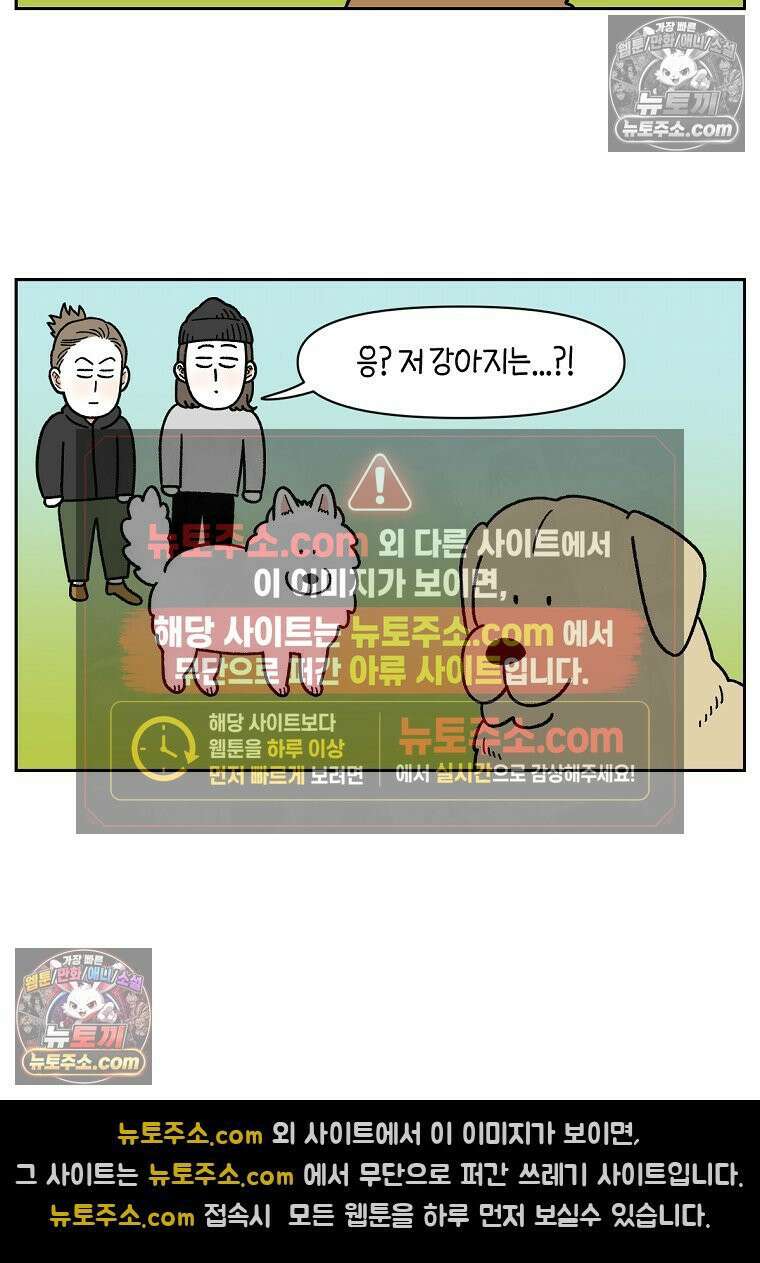 극한견주 시즌2 51화 개가 없으면 서로를 알아보지 못하는 사람들 18
