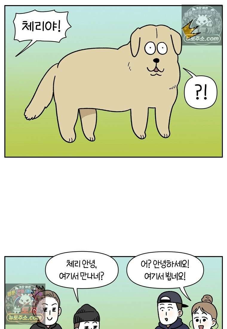 극한견주 시즌2 51화 개가 없으면 서로를 알아보지 못하는 사람들 19