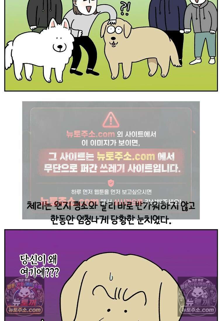 극한견주 시즌2 51화 개가 없으면 서로를 알아보지 못하는 사람들 20