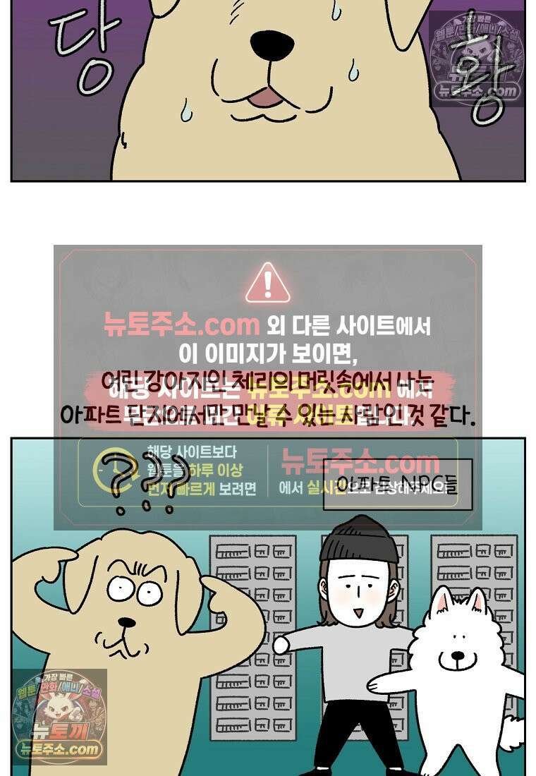 극한견주 시즌2 51화 개가 없으면 서로를 알아보지 못하는 사람들 21