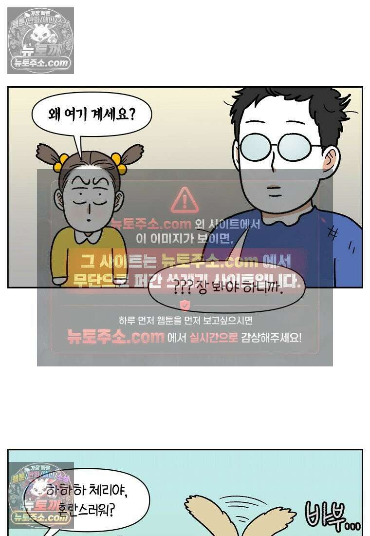 극한견주 시즌2 51화 개가 없으면 서로를 알아보지 못하는 사람들 23