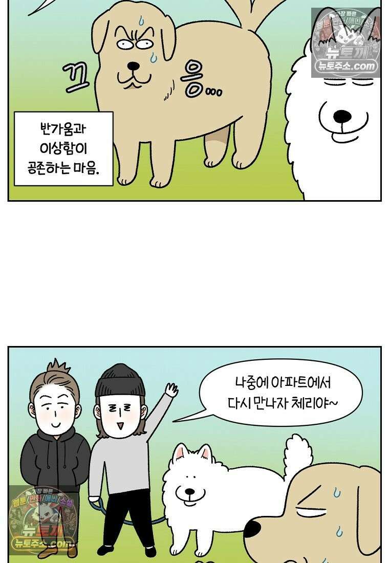 극한견주 시즌2 51화 개가 없으면 서로를 알아보지 못하는 사람들 24