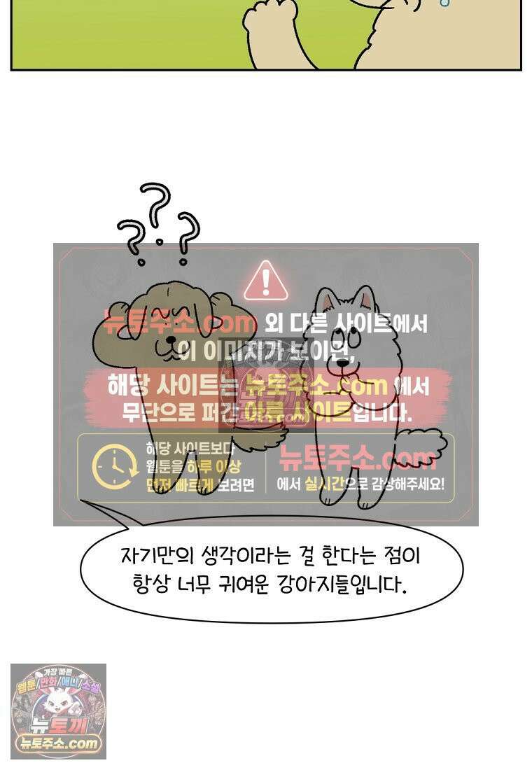 극한견주 시즌2 51화 개가 없으면 서로를 알아보지 못하는 사람들 25