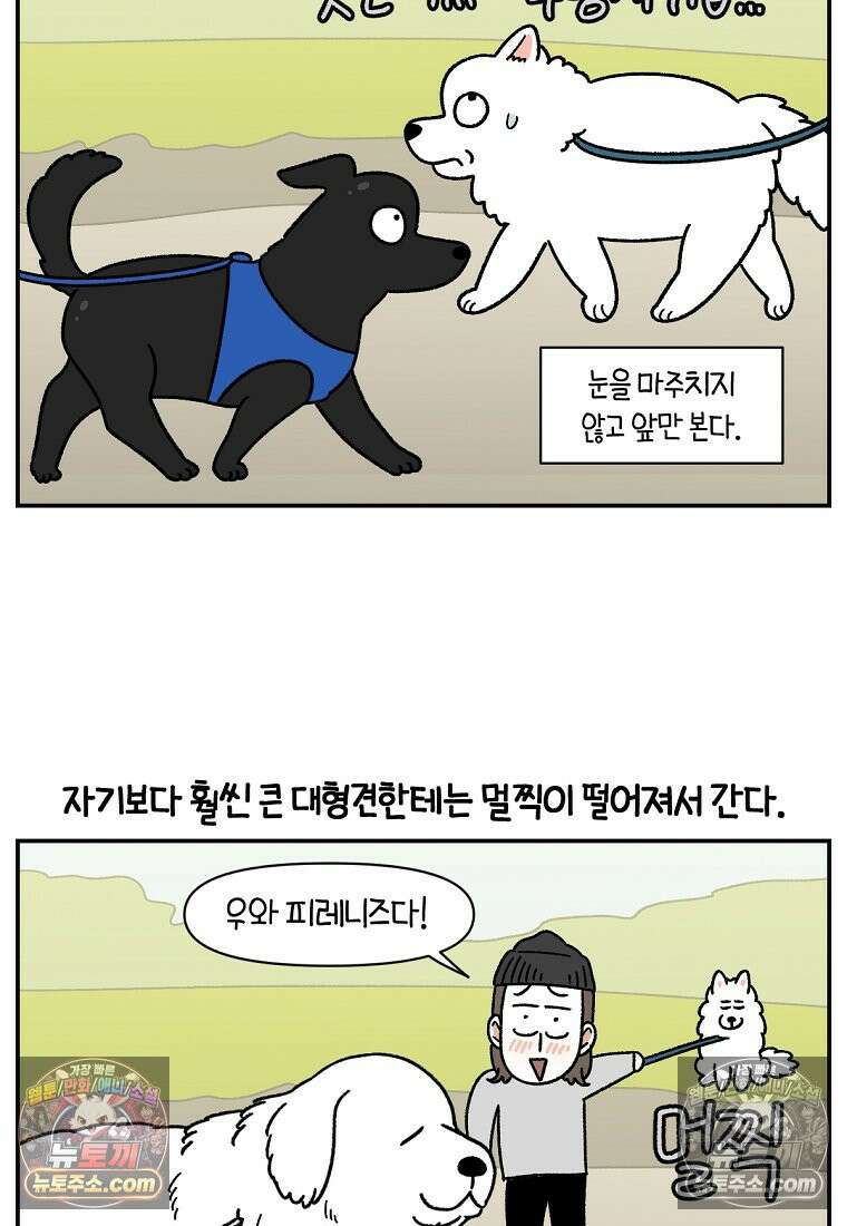 극한견주 시즌2 64화 강아지 친구와 인사하기 3