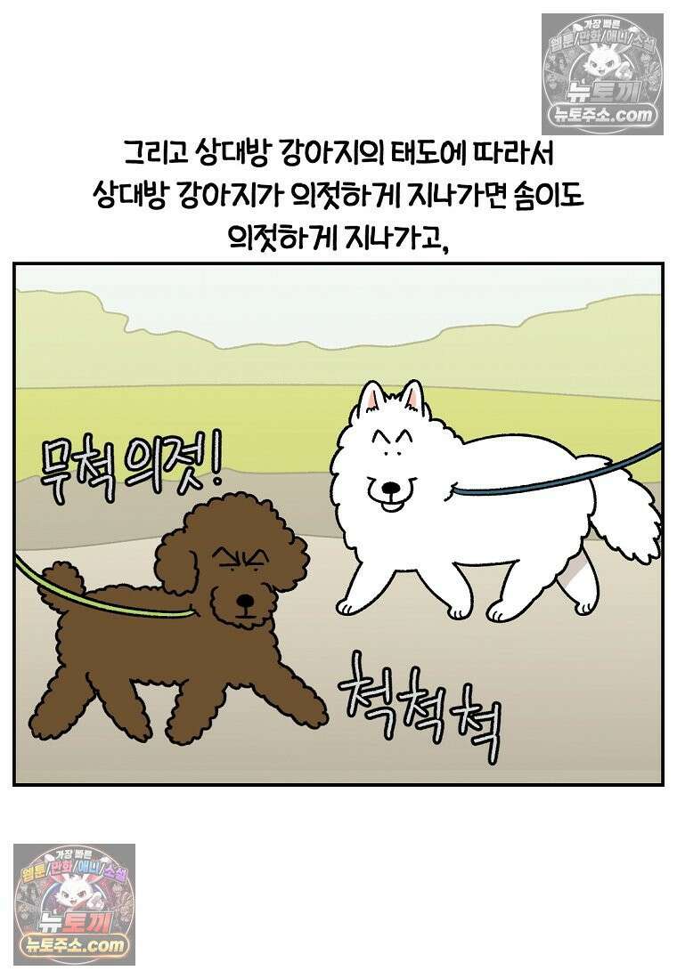 극한견주 시즌2 64화 강아지 친구와 인사하기 5