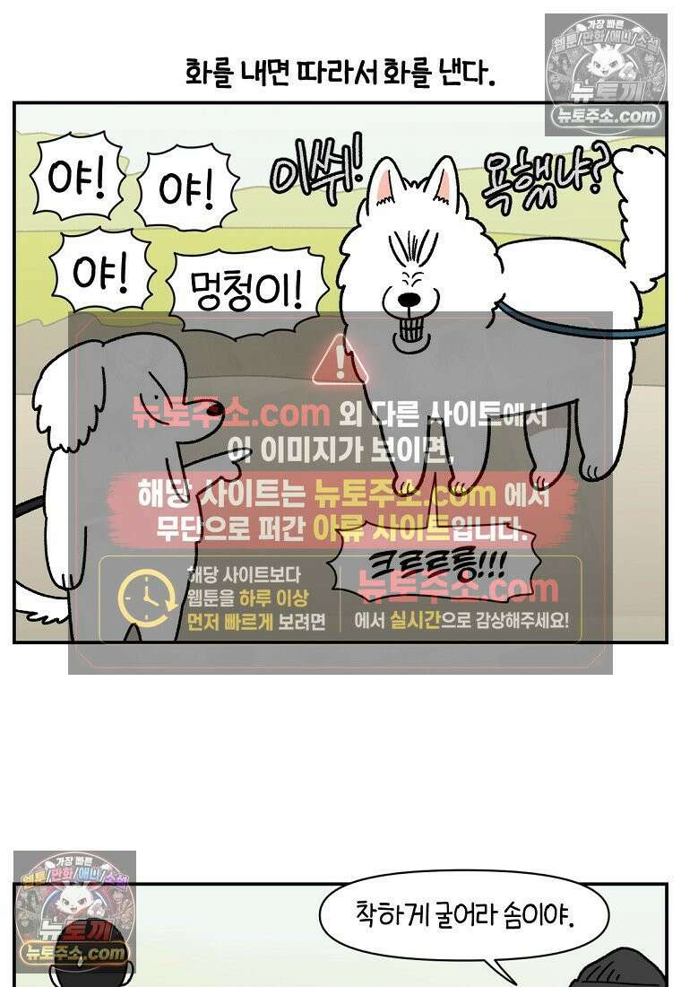 극한견주 시즌2 64화 강아지 친구와 인사하기 6