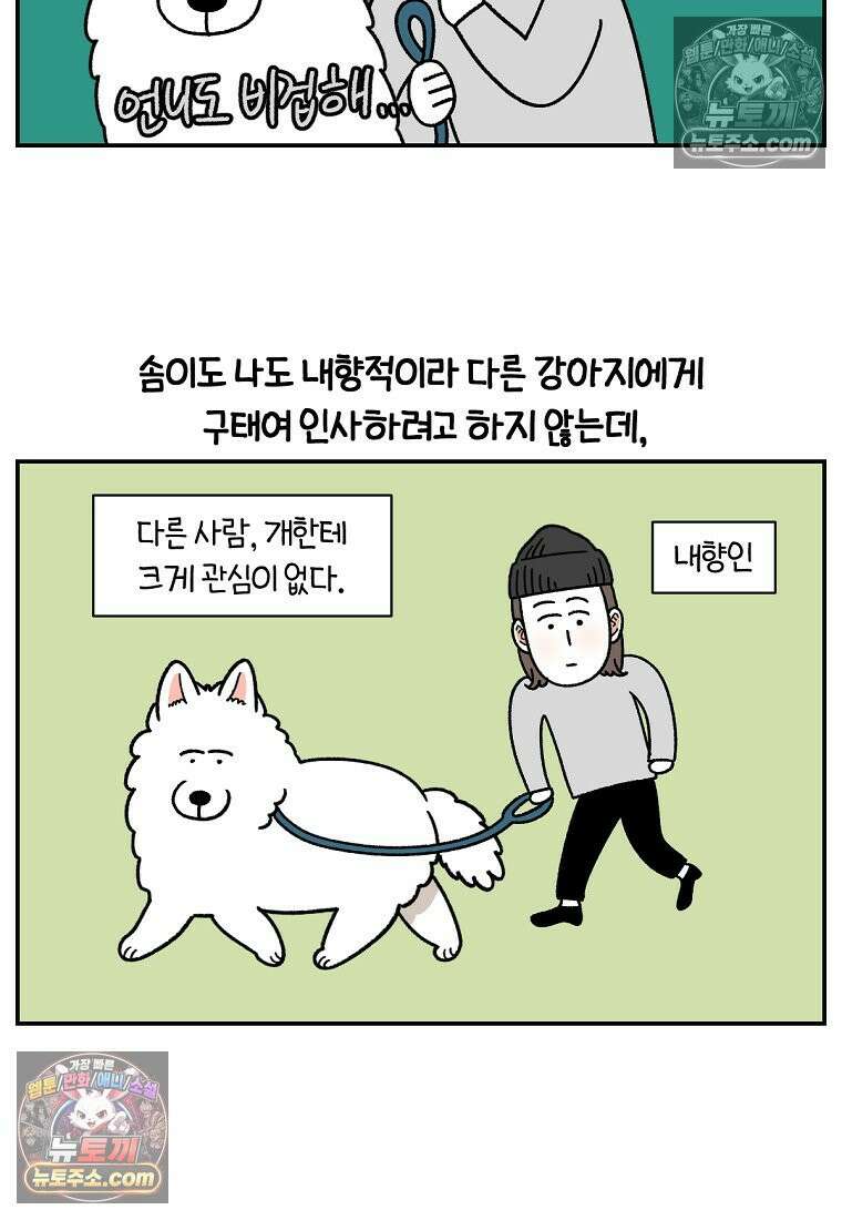 극한견주 시즌2 64화 강아지 친구와 인사하기 8