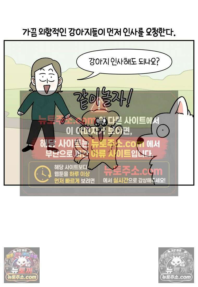 극한견주 시즌2 64화 강아지 친구와 인사하기 9