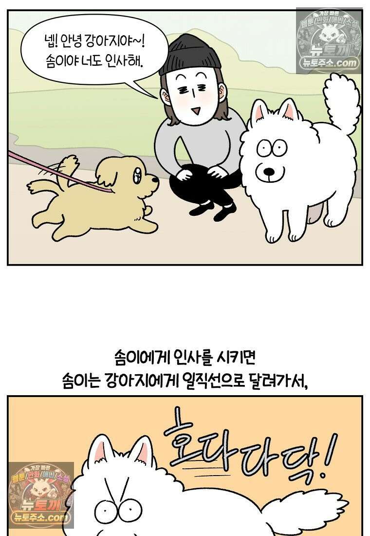 극한견주 시즌2 64화 강아지 친구와 인사하기 10