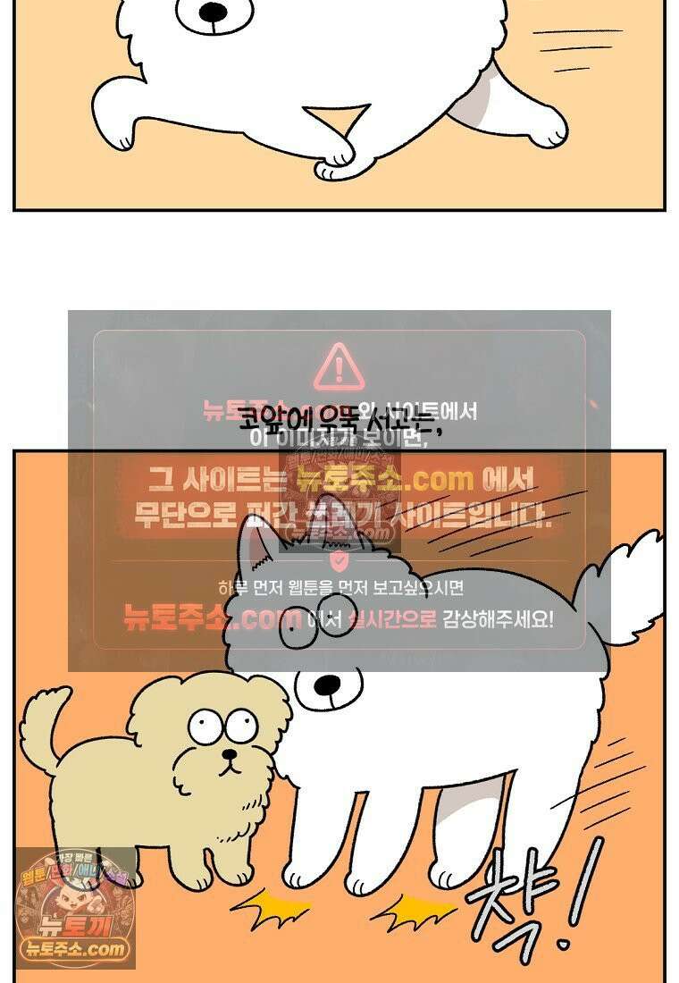 극한견주 시즌2 64화 강아지 친구와 인사하기 11
