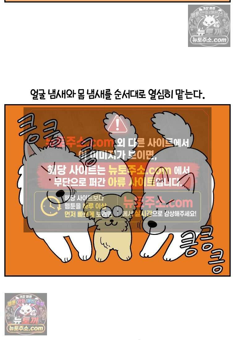 극한견주 시즌2 64화 강아지 친구와 인사하기 12