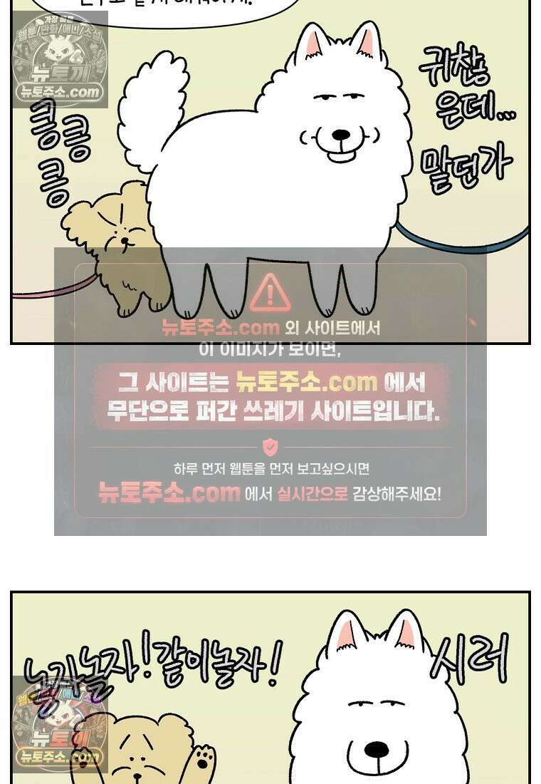 극한견주 시즌2 64화 강아지 친구와 인사하기 14