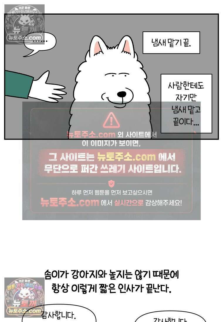 극한견주 시즌2 64화 강아지 친구와 인사하기 17