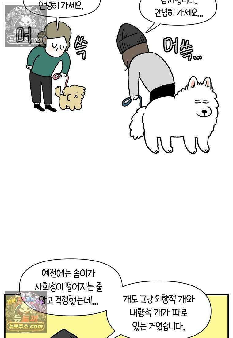 극한견주 시즌2 64화 강아지 친구와 인사하기 18