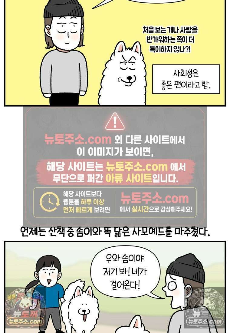 극한견주 시즌2 64화 강아지 친구와 인사하기 19