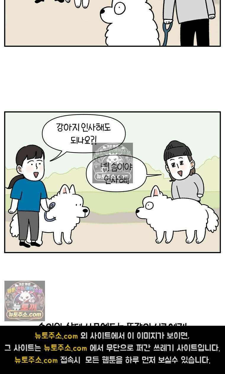 극한견주 시즌2 64화 강아지 친구와 인사하기 20