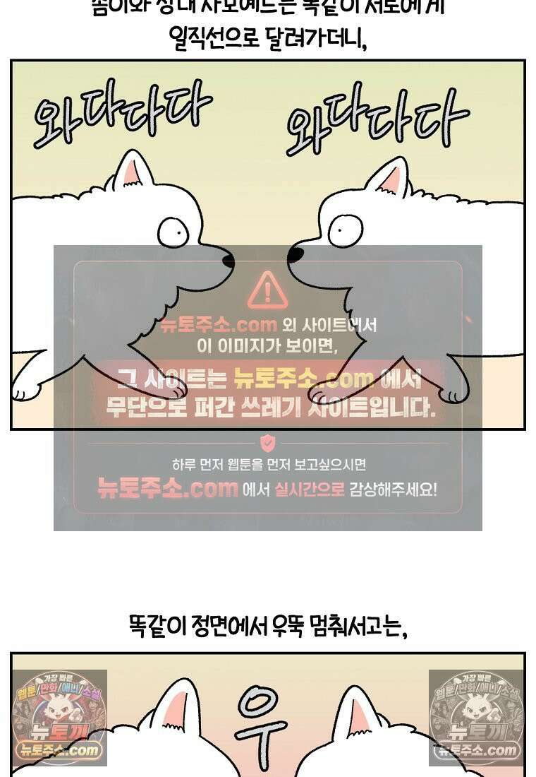 극한견주 시즌2 64화 강아지 친구와 인사하기 21