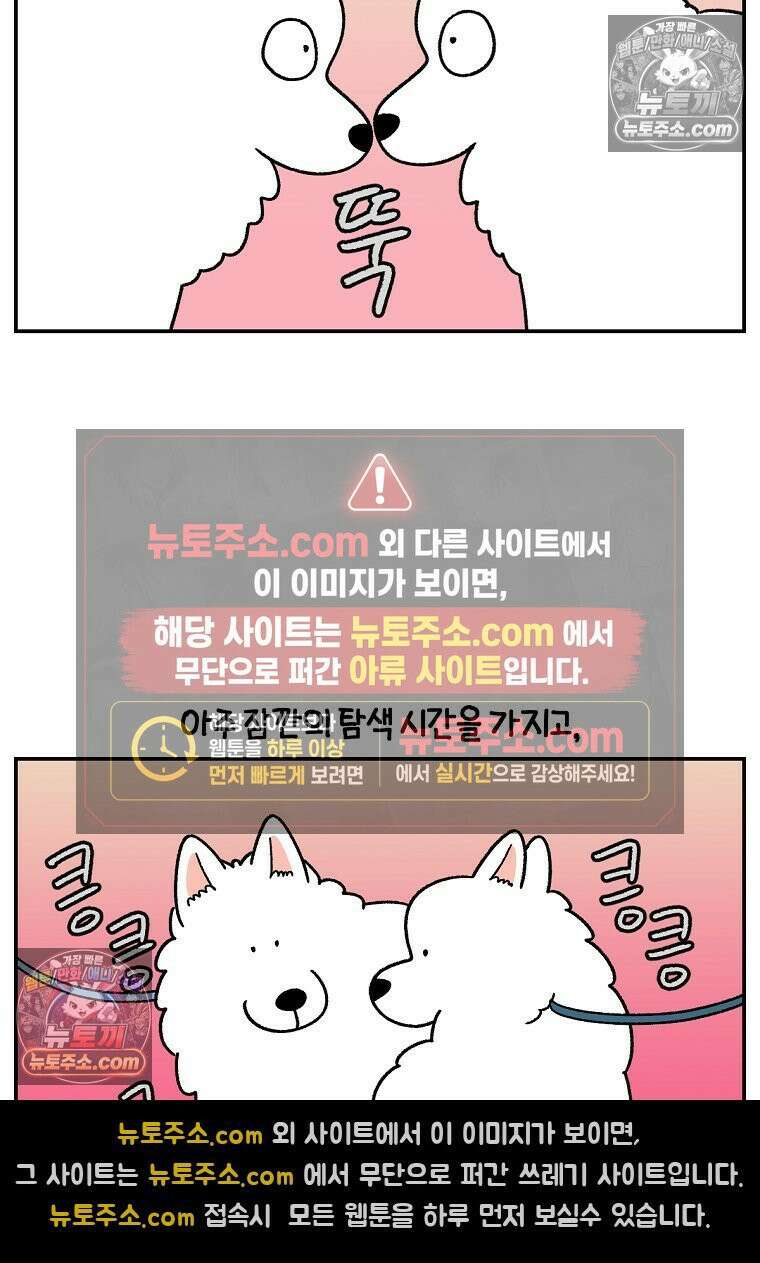 극한견주 시즌2 64화 강아지 친구와 인사하기 22