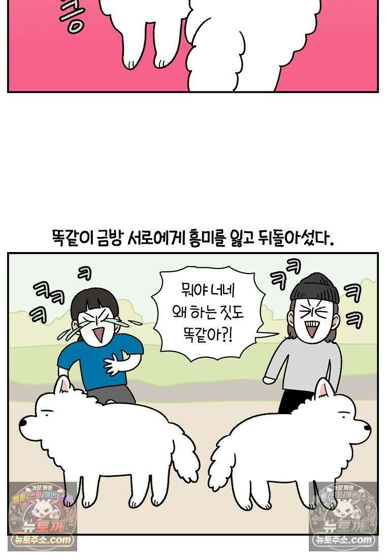 극한견주 시즌2 64화 강아지 친구와 인사하기 23
