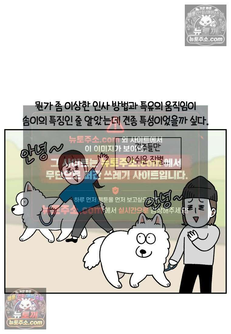극한견주 시즌2 64화 강아지 친구와 인사하기 24
