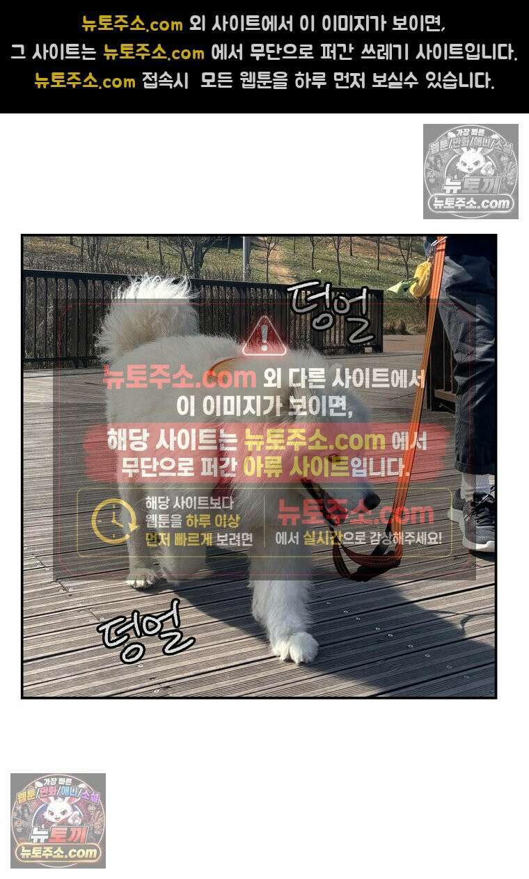 극한견주 시즌2 64화 강아지 친구와 인사하기 26