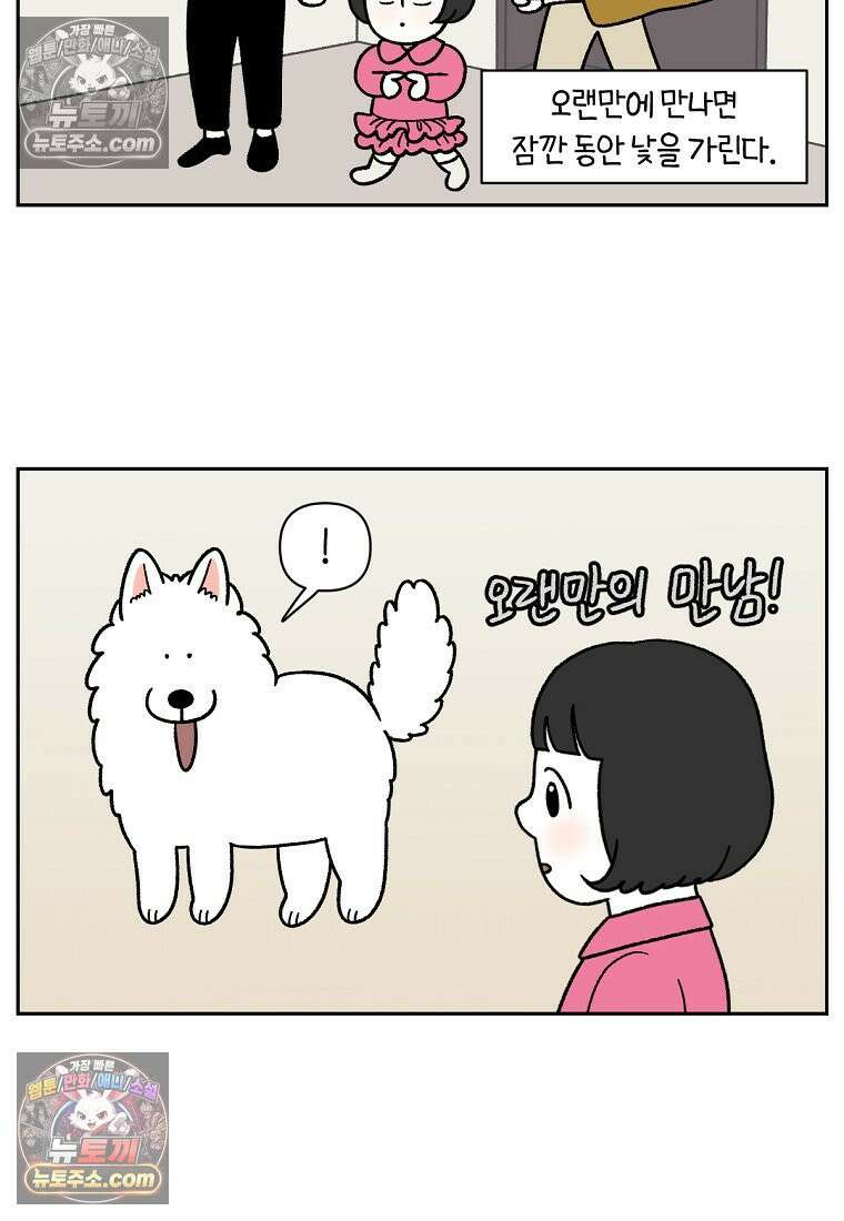극한견주 시즌2 86화 어린이가 된 쨔니 3