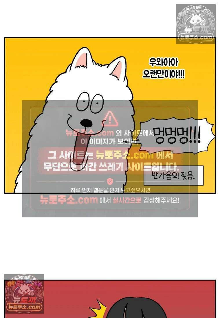극한견주 시즌2 86화 어린이가 된 쨔니 4