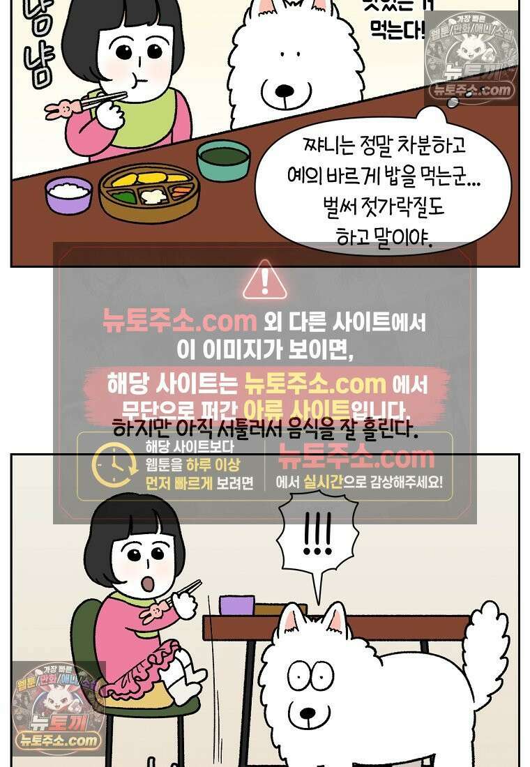 극한견주 시즌2 86화 어린이가 된 쨔니 12
