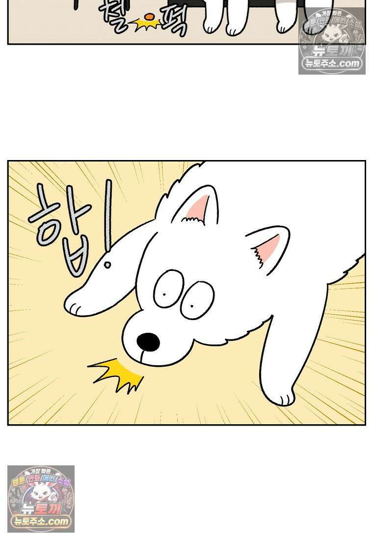 극한견주 시즌2 86화 어린이가 된 쨔니 13