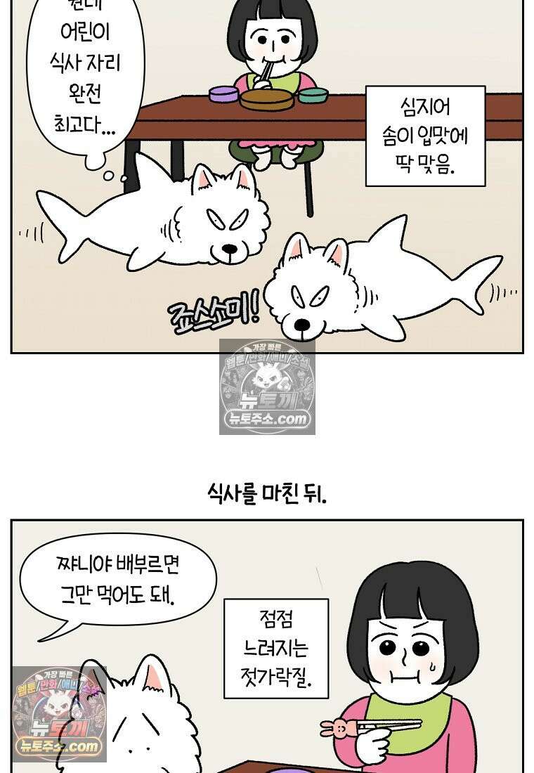 극한견주 시즌2 86화 어린이가 된 쨔니 15