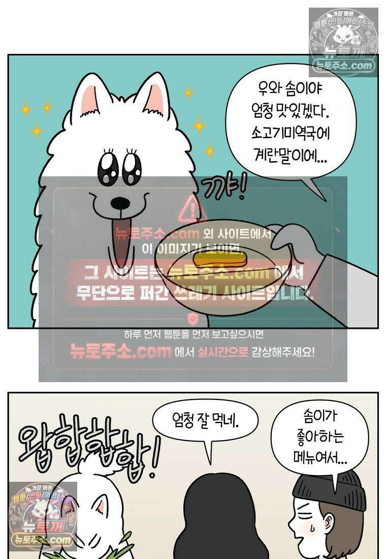극한견주 시즌2 86화 어린이가 된 쨔니 17