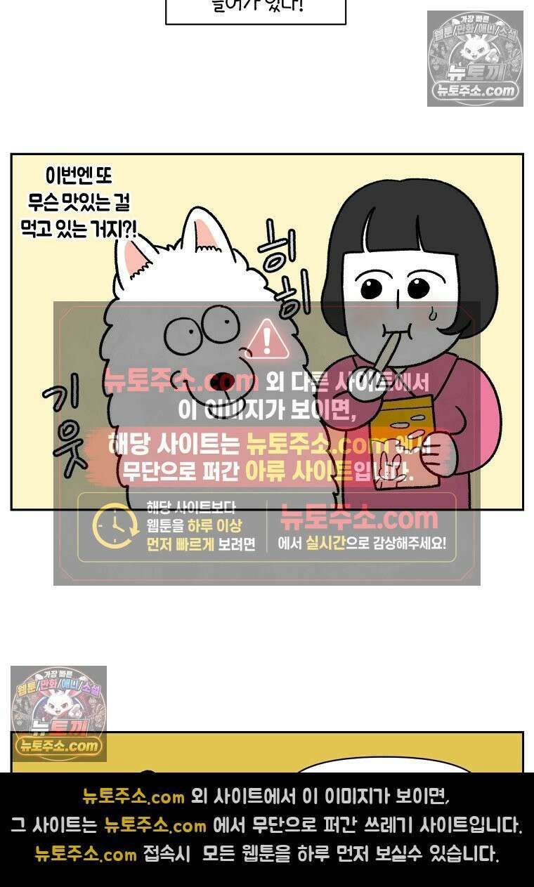 극한견주 시즌2 86화 어린이가 된 쨔니 19