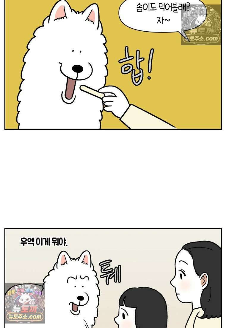 극한견주 시즌2 86화 어린이가 된 쨔니 20