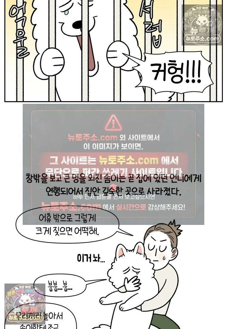 극한견주 시즌2 86화 어린이가 된 쨔니 24