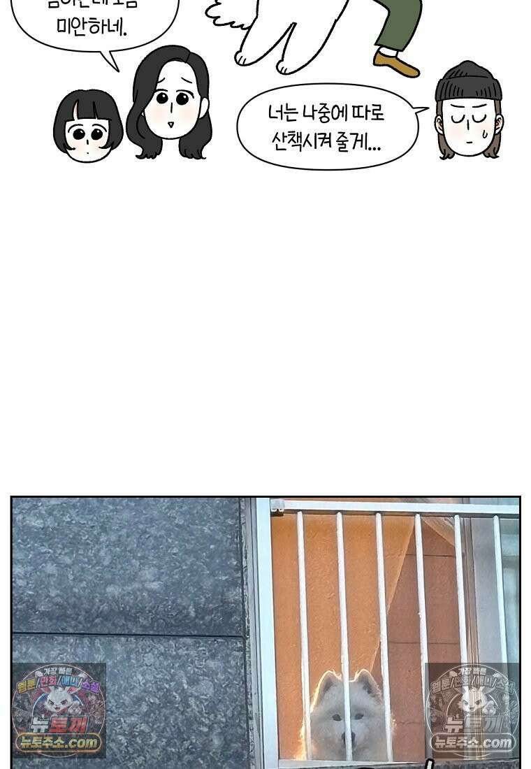 극한견주 시즌2 86화 어린이가 된 쨔니 25