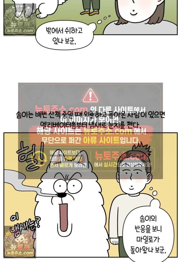 극한견주 시즌2 91화 베란다와 개 4