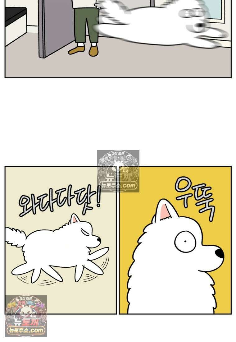 극한견주 시즌2 91화 베란다와 개 7