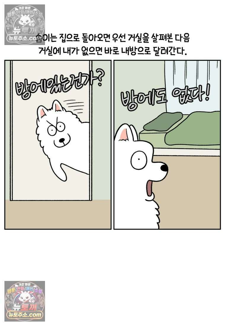 극한견주 시즌2 91화 베란다와 개 9