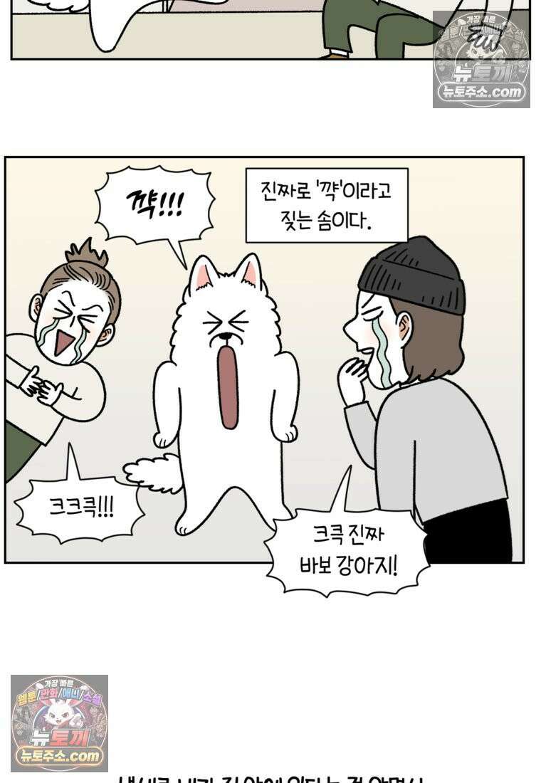 극한견주 시즌2 91화 베란다와 개 18