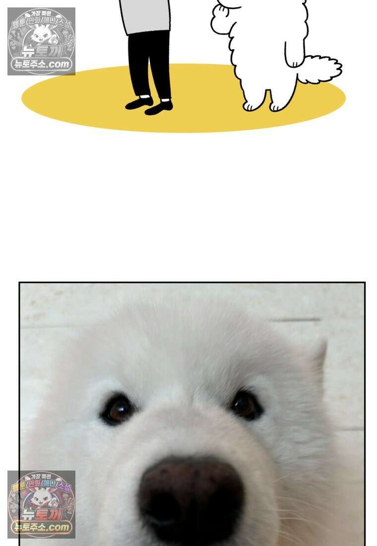 극한견주 시즌2 91화 베란다와 개 27