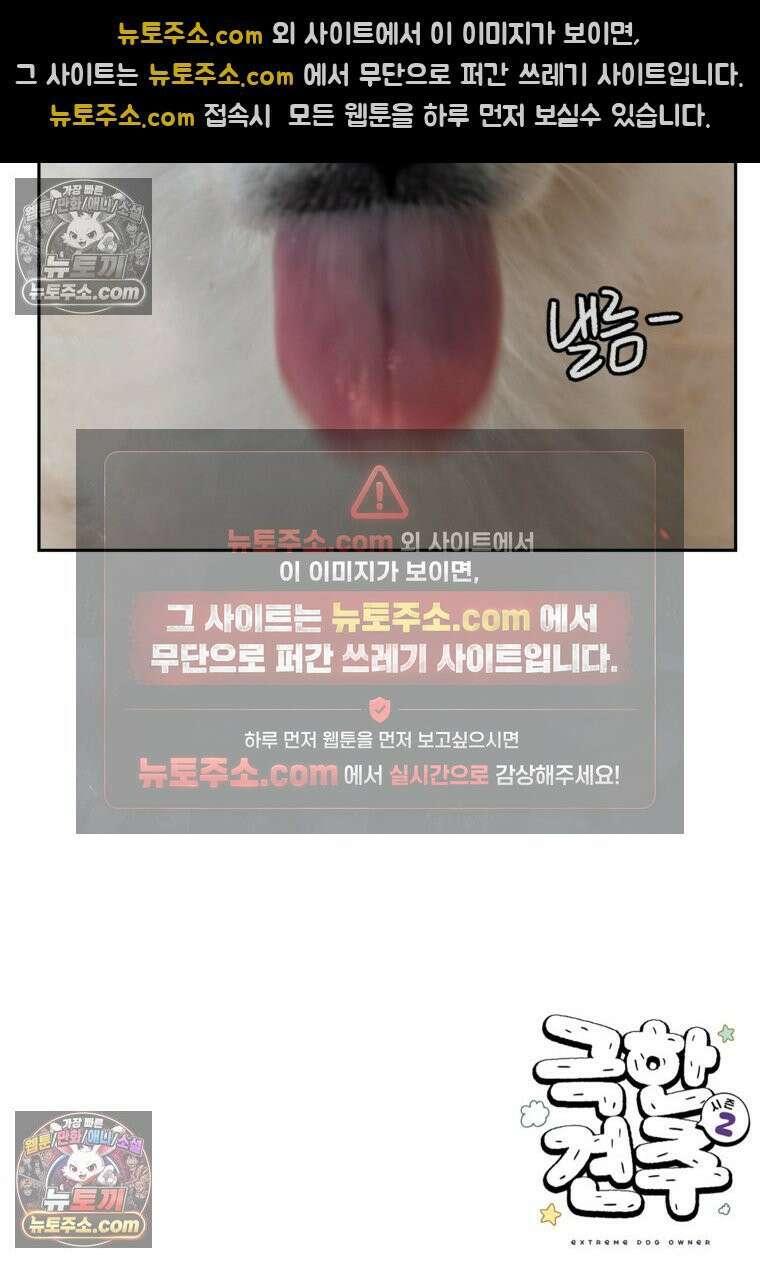 극한견주 시즌2 91화 베란다와 개 28