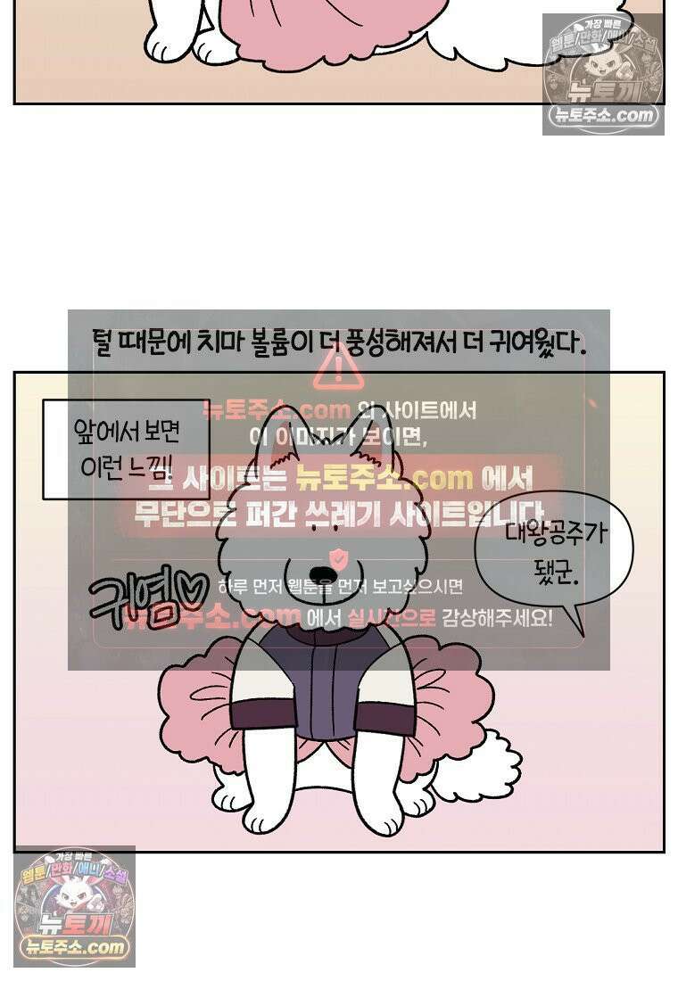 극한견주 시즌2 96화 공주 강아지 4