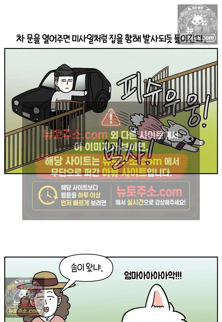 극한견주 시즌2 96화 공주 강아지 8
